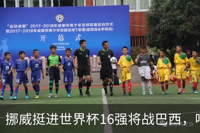 挪威挺进世界杯16强将战巴西，哈兰德发声